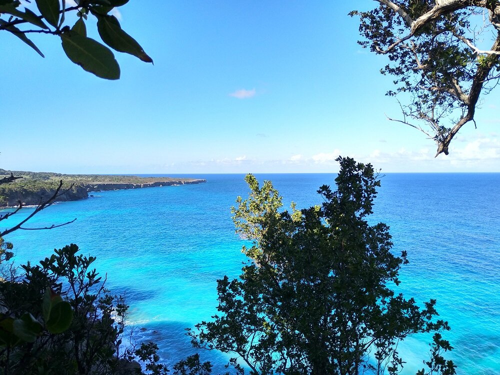 Clear blue jamaican water and shore 