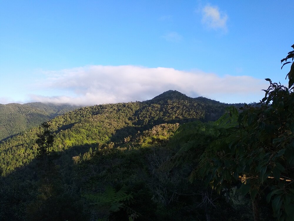 Jamaica's Blue Mountains 