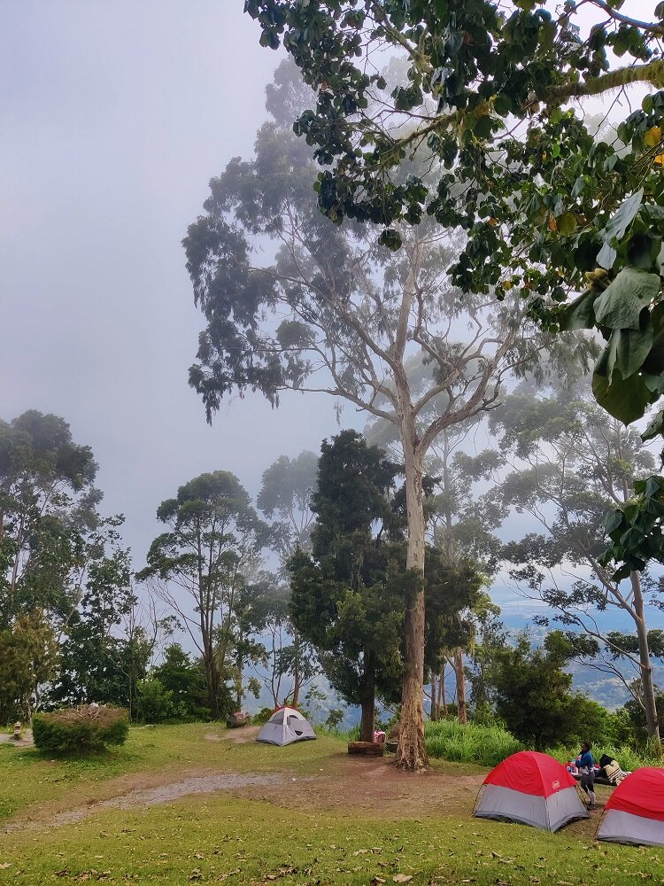 Foggy weather in Blue Mountains Jamaica 