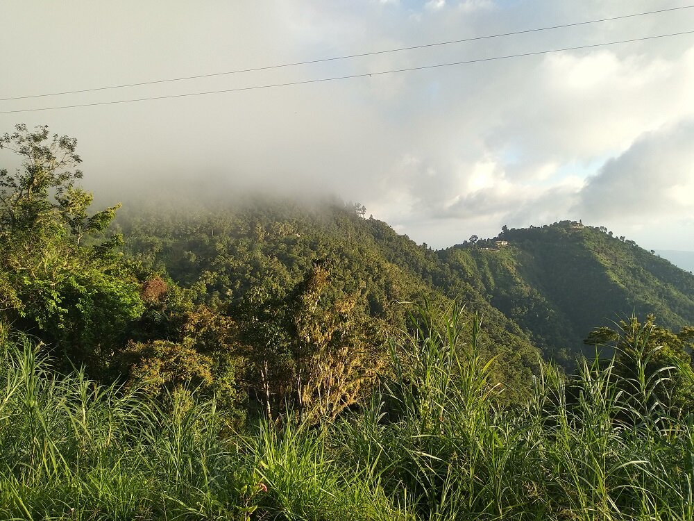 Cloudy Sky in Jamaican lush Forests 