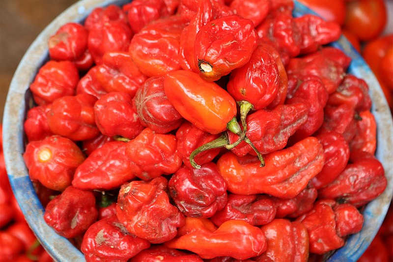 Jamaican Scotch Bonnet Pepper