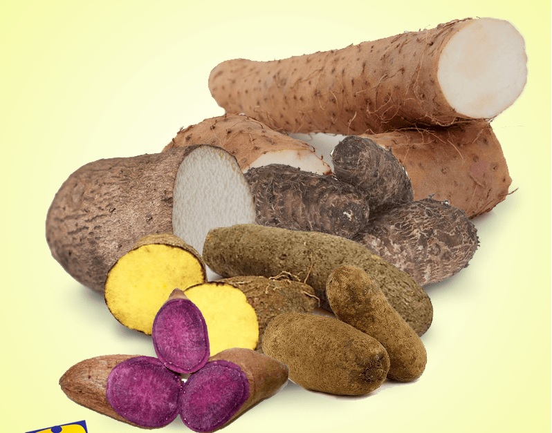 What is Jamaican Yam?