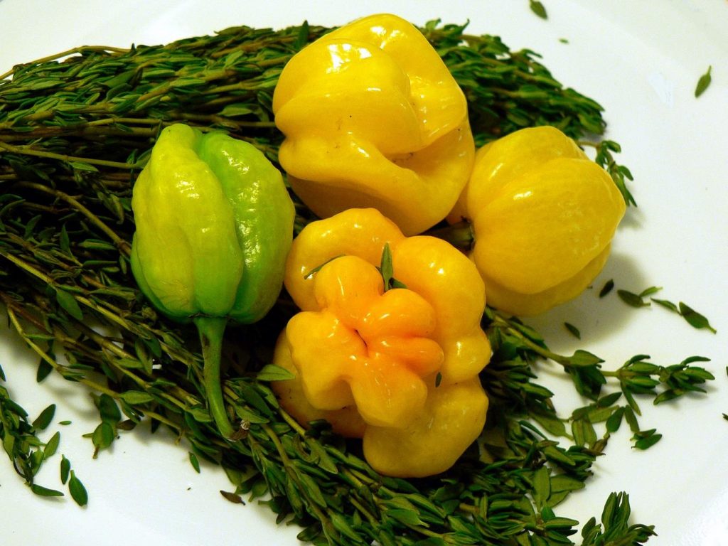 Jamaican Peppers and thyme 